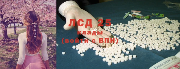 спайс Беломорск