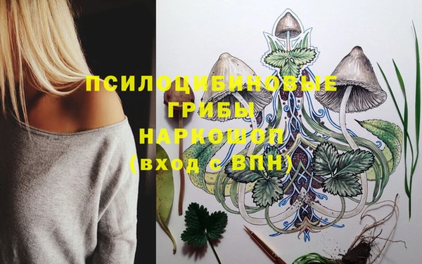 кристаллы Белокуриха