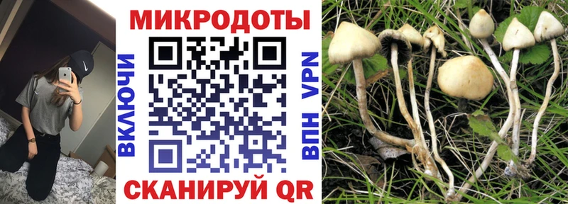 Галлюциногенные грибы Cubensis  купить закладку  Октябрьский 